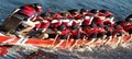 Living Root Dragon Boat, Inc. image 3