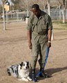 MP K9 All Breed Dog Training image 3