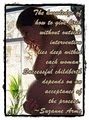 Magic of Motherhood image 3