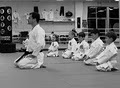 Marti Martial Arts Academy image 7