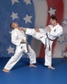 Marti Martial Arts Academy image 9