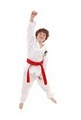 Master Kwon Martial Arts logo