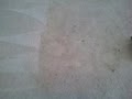 Melody Carpet Care image 2