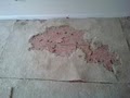 Melody Carpet Care image 3
