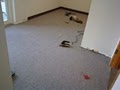 Melody Carpet Care image 6
