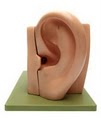 New Generation Hearing Centers logo