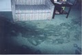 Octi-Dry Water Damage Services image 2
