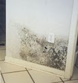 Octi-Dry Water Damage Services image 4