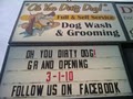Oh You Dirty Dog! Dog Wash and Grooming image 2