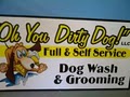 Oh You Dirty Dog! Dog Wash and Grooming image 5
