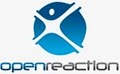 OpenReaction Hosting Solutions, Inc. logo