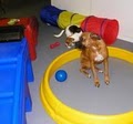 Pampered Pet Groom Dog Training, Inc. image 1