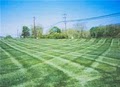 Paramount Lawn + Landscape image 7