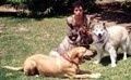 Pet Mama Pet Sitting & Dog Walking Services (Rena Richards, Owner) image 1