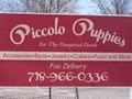 Piccolo Puppies logo
