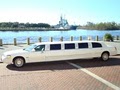 Platinum Limousine, Inc. image 8
