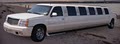 Pristine Limousine image 6