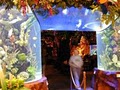 Rainforest Cafe - Opry Mills image 5