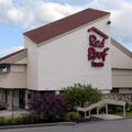 Red Roof Inn image 6