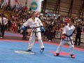 Red Tiger Taekwon-Do image 2