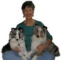 Rose's Dog Training And Pet Care logo