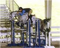 SELECT SPORT HORSES at Winfield Oaks Farm image 6