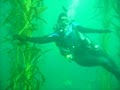 Scuba Diver Girls image 3