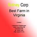 Sidney Corporation Farms image 2