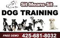Sit Means Sit Dog Training image 8