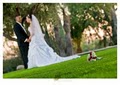 Solaris Photography - Wedding Photographers image 2