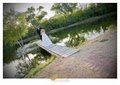 Solaris Photography - Wedding Photographers image 6