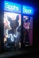 Spot's Spot image 3