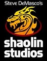 Steve DeMasco's Shaolin Studios image 9
