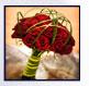 Sweet Pea Wedding Services - Steve Beck image 8