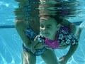 Swimming For Babies image 6