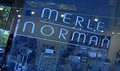Syndee's Merle Norman Cosmetic Studio & Spa logo