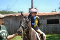 TNHorsetrainer.com and Creekside Stable image 5