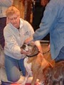 Tallgrass Animal Acupressure Institute image 3
