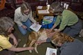 Tallgrass Animal Acupressure Institute image 7