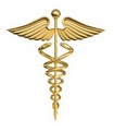 Team Nursing, llc logo
