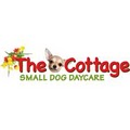 The Cottage Small Dog Daycare image 3
