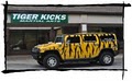 Tiger Kicks Tae Kwon Do image 2