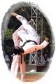 Tiger Kicks Tae Kwon Do image 1