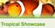 Tropical Showcase logo