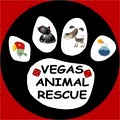 Vegas Animal Rescue image 2