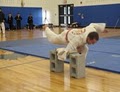 Victory Taekwondo Academy image 1
