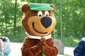 Yogi Bear's Jellystone Park Tunkhannock image 3