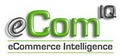 eCommerce Intelligence logo