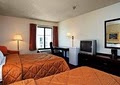 Comfort Inn image 4