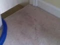DMS Carpet & Upholstery Cleaners image 2